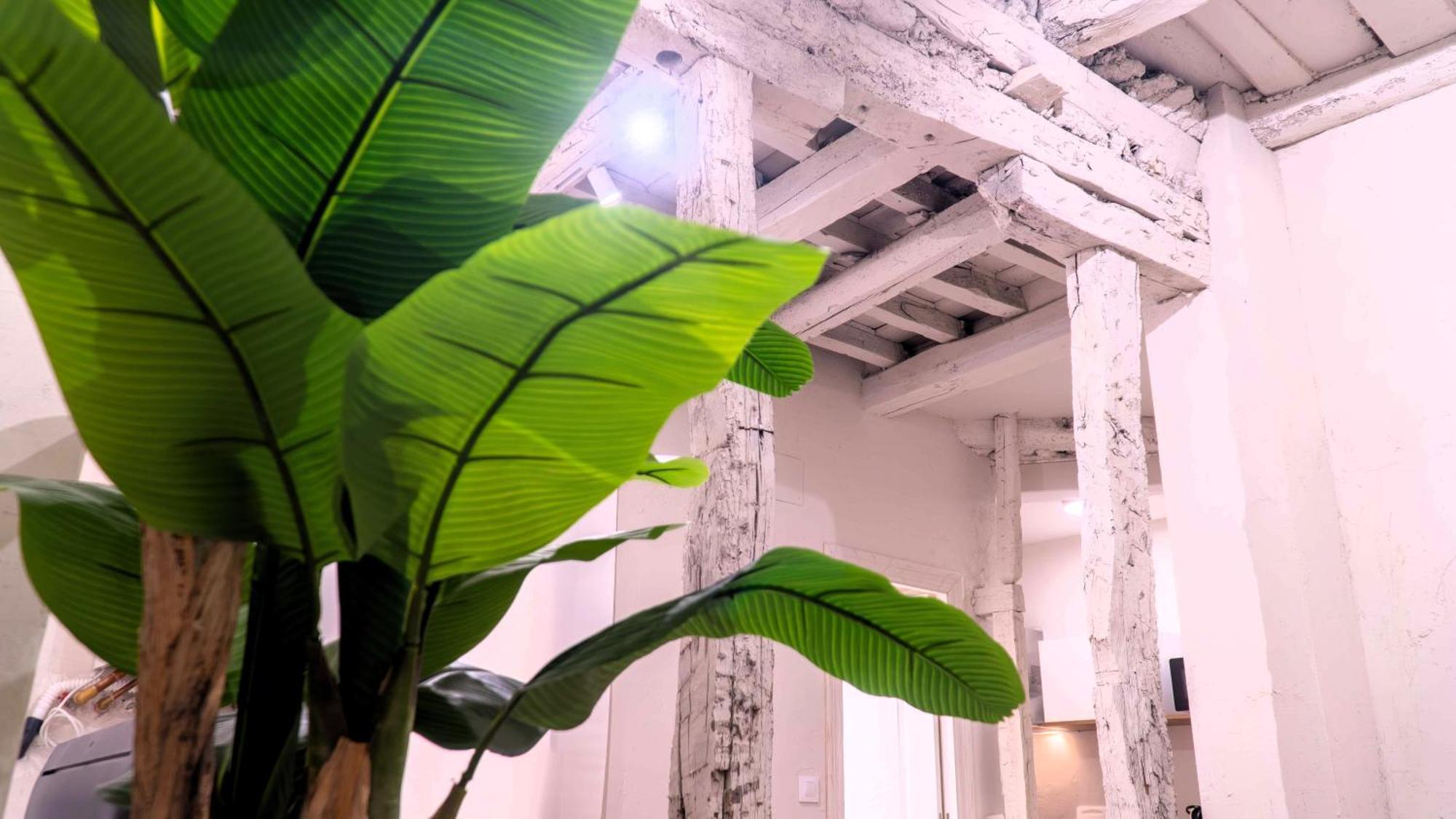 Apartamentos Carolina By Gaiarooms León Eksteriør billede